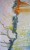 imaginaire