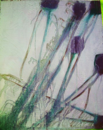 chardons imaginaires